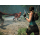 PlayStation Tomb Raider: Legacy of Atlantis Deluxe Edition - 1613724 - zdjęcie 4
